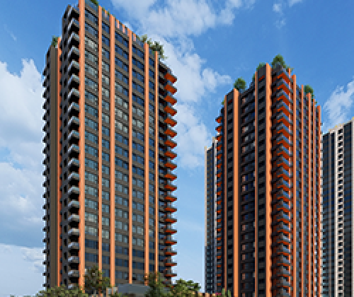 中悦HLV.栢
